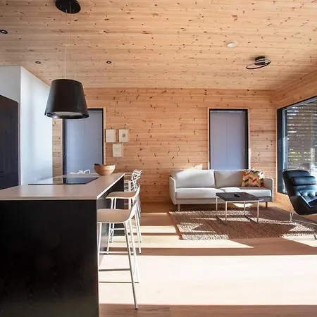 North - Saunamaeki C Holiday home *