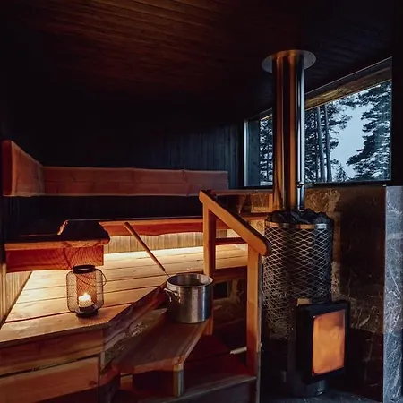 Dom wakacyjny Saunamaeki - Cedra